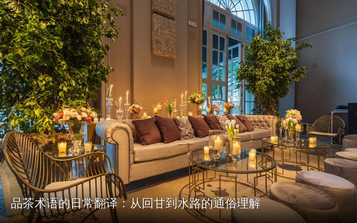 品茶术语的日常翻译:从回甘到水路的通俗理解